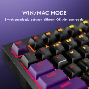 Kreo Swarm 75% Wireless Mechanical Keyboard with Pass Through Keycaps, Advanced Web Software, Pre-lubed Switches, 5-pin Hot Swap PCB, 5 Layers Sound Absorption and Software Support