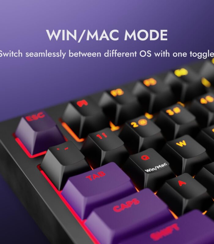Kreo Swarm 75% Wireless Mechanical Keyboard with Pass Through Keycaps, Advanced Web Software, Pre-lubed Switches, 5-pin Hot Swap PCB, 5 Layers Sound Absorption and Software Support